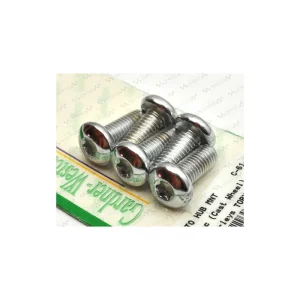 Premium Śruby do tarczy hamulcowej - tył. torx, SR-019