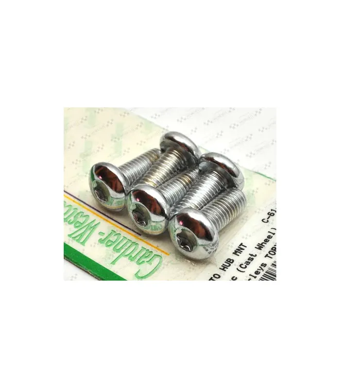 Premium Śruby do tarczy hamulcowej - tył. torx, SR-019